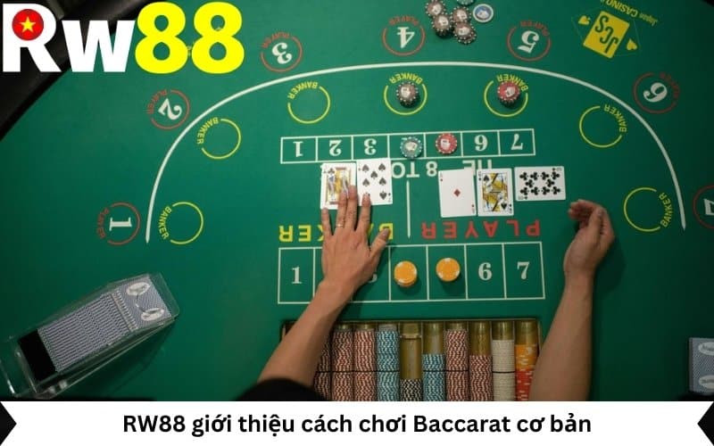 RW88 giới thiệu cách chơi Baccarat cơ bản